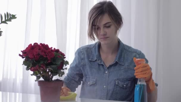 Nysningar kvinna, unga kvinnliga i handskar med tvätt spray lider av allergier under rengöra hemma — Stockvideo