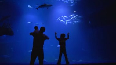 aile hafta sonu akvaryum ziyaretleri, iki oğlu ile baba sualtı dünyasını izlerken