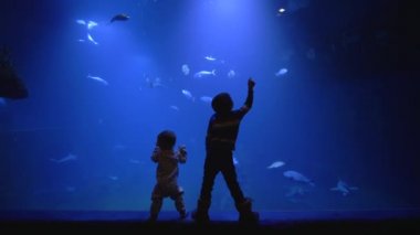 deniz parkı, küçük çocuklar merakla sualtı dünyasında izliyor