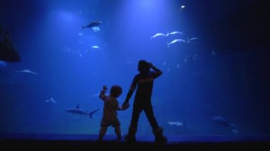 oceanarium, büyük kardeşi büyük akvaryum yakınında genç ayakta elini tutuyor ve merak ile sualtı dünyasında izliyor