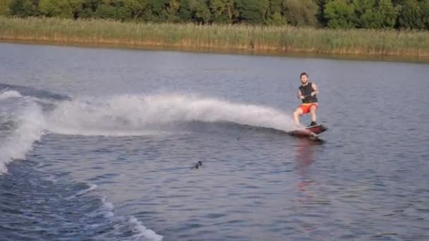 Wakeboarder man holds rope handle and rides on board on river in slow motion with water splashes on background of reeds and trees during weekend — Stock Video