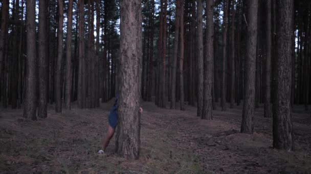 Juegos al aire libre, niña espiando desde detrás del árbol y luego corre entre filas de pinos en el bosque durante el fin de semana por la noche en cámara lenta — Vídeos de Stock