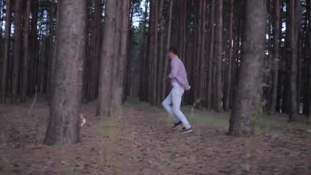 家族の幸せな関係、夕方の時間に休日に森の中の列の木の間に子供の娘に追いつくために遊ぶパパ — ストック動画