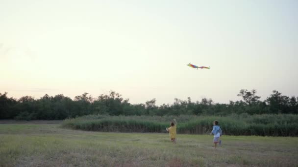 Jogo com um papagaio, menina feliz com menino jogar jogos ativos ao ar livre durante o fim de semana da floresta, criança despreocupada — Vídeo de Stock