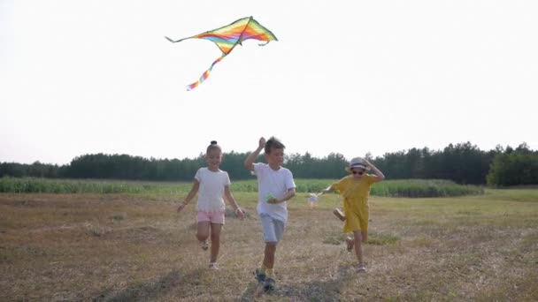 Gelukkige kindertijd, vrolijke vrienden kinderen rennen rond clearing met Kite in de lucht terwijl ontspannen in de natuur — Stockvideo