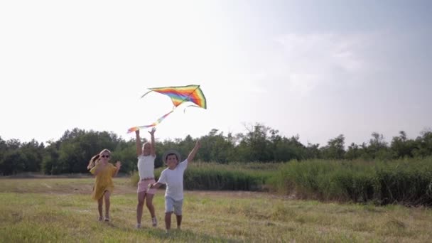 Kinder mit Drachen, zufriedene Kinder haben in den Sommerferien Spaß auf der Wiese vor blauem Himmel und Schilf, Konzept des Glücks — Stockvideo