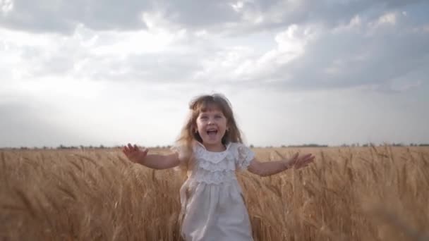 Niño en el campo, niña emocional en vestido blanco corre con los brazos extendidos para reunirse a través del campo de trigo con espiguillas de oro de grano en la temporada de rendimiento contra el cielo azul — Vídeos de Stock