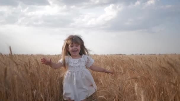 Dziecko bawi się w przyrodzie, emocjonalnie śmiejące się dziecko w białych ubraniach biegnie z ramionami rozłożonymi na spotkanie z pszenicą przeciwko dojrzałym zbiorom — Wideo stockowe