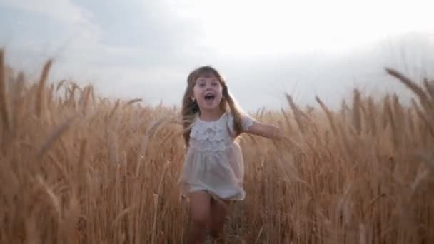Vtipné dětství, sladká holčička s krásnýma modrýma očima v bílém oblečení běhá s rukama roztaženýma po poli s pšenicí na pozadí zralé sklizně — Stock video