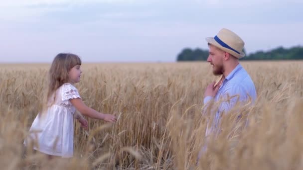 Zábavné rodinné hry, muž a dívka šťastná rodina hravě hrát na poli zralá pšenice proti modré obloze v období sklizně — Stock video