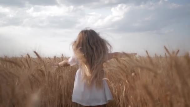 Feliz infancia, niña en vestido blanco corre con los brazos extendidos a los lados a través del campo de trigo con espiguillas doradas de grano en otoño temporada de rendimiento contra el cielo — Vídeo de stock