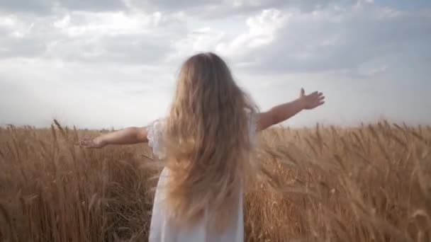 Uzun güzel saçlı küçük kız, sonbahar mevsiminde mavi gökyüzüne karşı buğday tarlasında altın buğday başaklarıyla koşar. — Stok video