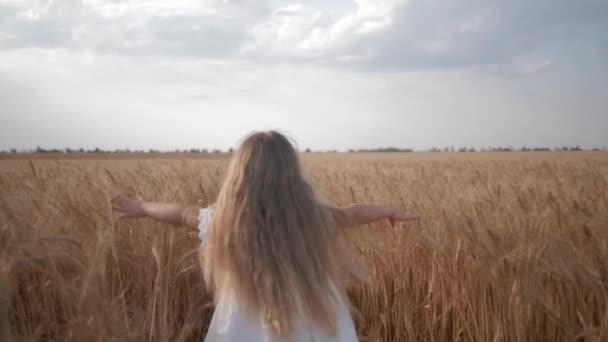 Hosszú, gyönyörű hajú kislány fut végig az érett gabonamezőn, az őszi betakarítási szezonban aranytüskés búzával a kék ég ellen. — Stock videók