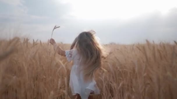 Klein vrouwelijk kind loopt tussen rijpe oren van tarweveld tegen de achtergrond van de blauwe hemel tijdens het oogstseizoen — Stockvideo