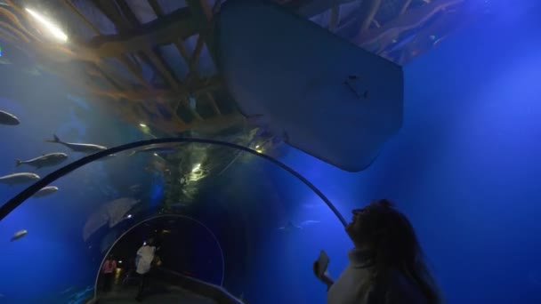 大きな水族館のトンネルで泳ぐ魚スティングレイに賞賛と幸せな女の子の観光客 — ストック動画