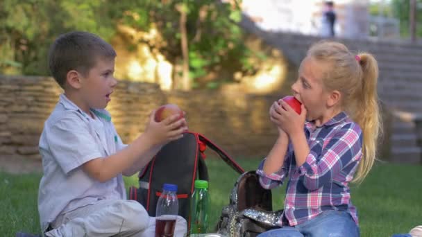 Probleem van kinderen, kleine jongen zonder melktanden slecht bijt appel dan boos en zet het fruit in rugzak zittend op gazon met een meisje — Stockvideo