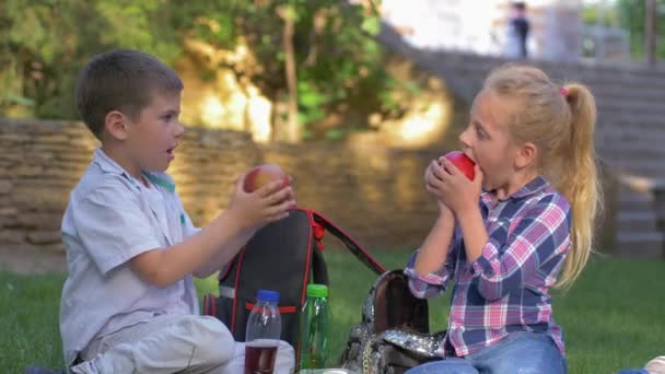 Problème des enfants, petit garçon sans dents de lait mord mal pomme puis bouleversé et met le fruit dans un sac à dos assis sur la pelouse avec une fille — Video