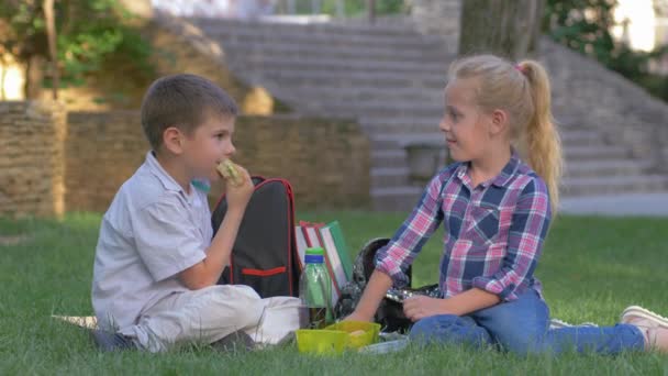 Colegiales charlan durante el almuerzo de recreo con sándwiches en las manos sentados en la hierba en el patio de la escuela — Vídeos de Stock