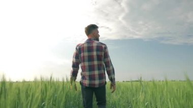 Genç çiftçi mavi gökyüzünün arka planında yeşil bir arpa tarlasında yürürken tarlaların güzelliğinin tadını çıkarıyor.