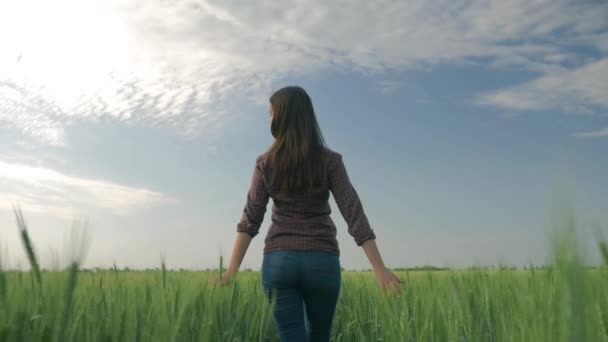 Hermosa joven agricultora caminando entre los cultivos de cebada y toca la planta con su mano luego se vuelve a la cámara y sonríe contra el cielo azul en el campo — Vídeos de Stock