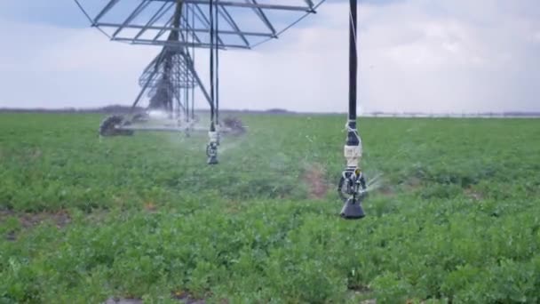 Agricultural industry, automated irrigation system used to water plants on field — Stock Video