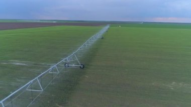 Tarım alanında sulanan yeşil kolza tohumu için sulama ekipmanı, kırsal kesimde insansız hava aracı görüntüsü