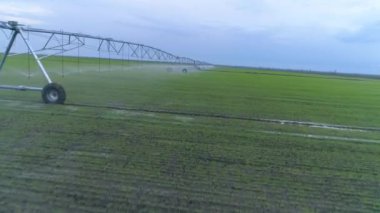 Tarım arazilerinin sulanması, yeşil kolza tohumu tarlasının ve gökyüzünün havadan görülmesi.