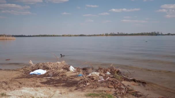 Загрязнение окружающей среды в природе, пластиковый мусор на грязной реке и дикие птицы плавают в воде — стоковое видео