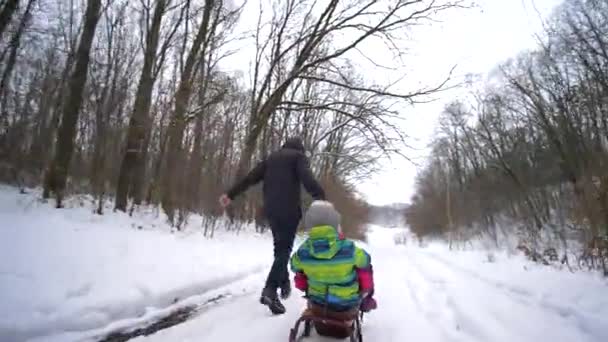 Glückliche Kindheit im Winter, Vater spaziert mit Kindern auf Schlitten im verschneiten Wald — Stockvideo