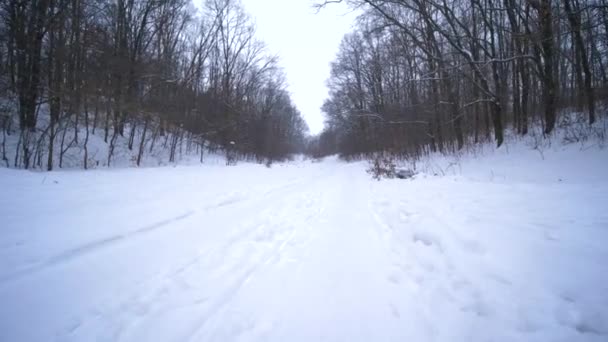 Vakantie in het bos in de winter, papa loopt en houdt in de hand slee met de kinderen langs besneeuwde weg — Stockvideo