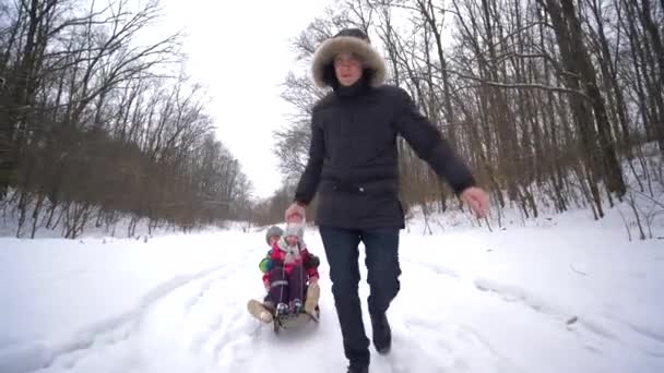 Week-end, jeune parent porte traîneau avec des enfants heureux dans la forêt enneigée — Video