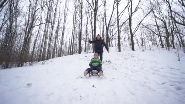 Активний хлопчик їде на санях зі сніжної гори в лісі, сімейне свято — стокове відео