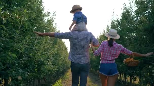Gartenarbeit, junge Bauernfamilie spaziert bei der Ernte durch einen Apfelgarten — Stockvideo