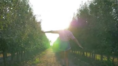 Elma bahçesinde hasat, köylü genç kadın hasır şapka ve gömlek içinde meyve bahçesinde yürüyor.