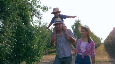 Kırsal işler, mutlu çiftçi ailesi bahçedeki sepetteki ağaçlardan elma topluyor.