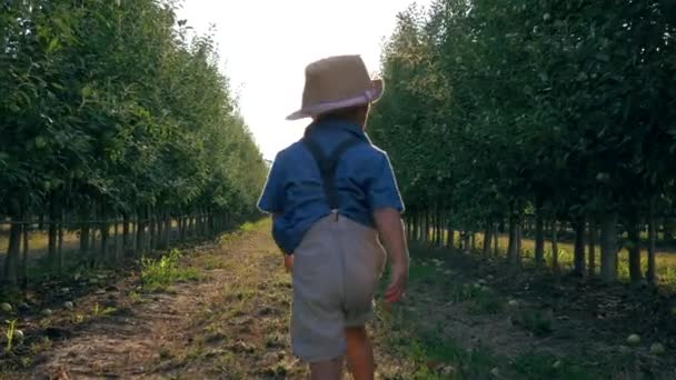 Happy rural family, young farmers with child running through apple orchard in fall during harvest season — ストック動画