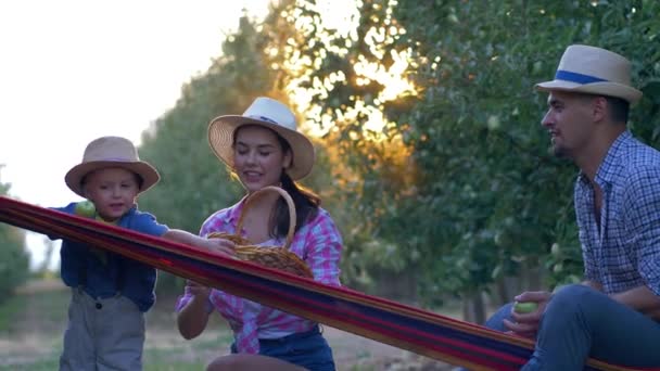 Saison des récoltes, jeunes agriculteurs familiaux en chapeaux de paille et chemises à carreaux jouant aux pommes avec petit fils sur hamac au jardin — Video