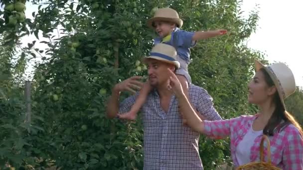 Infanzia rurale, giovani agricoltori con figlio che raccolgono mele nel frutteto — Video Stock