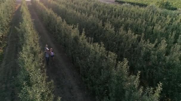 Flygfoto syn på landsbygden familj ger positiv gest och leenden vid fruktodling under skördesäsongen — Stockvideo