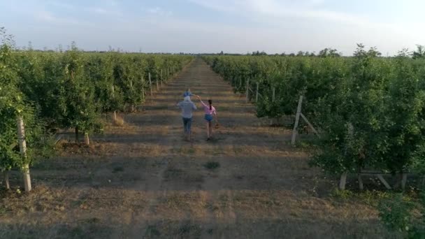 Jardinería, mujer joven y hombre con niño en los hombros se divierten en huerto de manzanas — Vídeo de stock