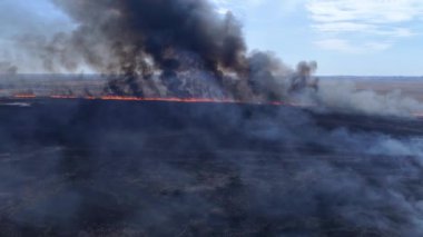 Çevre için tehlikeli, büyük orman yangınları kuru çayırlar boyunca ilerliyor. Nehir kenarındaki gökyüzüne doğru duman yükseliyor.