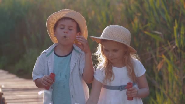Děti zábava, šťastní malí přátelé chlapec a dívka v slamáku klobouky foukat bubliny ve slunečném světle — Stock video