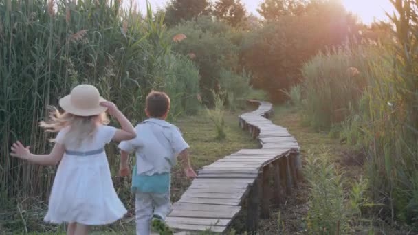 아이들 놀이, 행복 한 어린 소년 과 소녀는 잡기 놀이를 하고 푸른 높은 갈대 사이에 있는 나무 다리에서 뛰고 있습니다. — 비디오