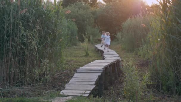 Děti rekreace, roztomilé děti přátelé chlapec a dívka hrát catch-up a běh na dřevěném mostě mezi zelenou vegetací v přírodě — Stock video