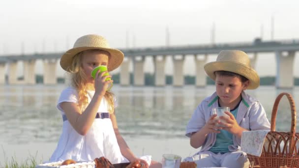 Мила голодна дівчинка і хлопчик в солом'яних капелюхах їдять солодкі хлібобулочні вироби і п'ють свіже молоко під час пікніка в природі біля річки — стокове відео