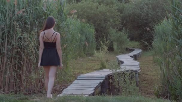 Молода красива жінка гуляє по дерев'яному мосту босоніж на відкритому повітрі і насолоджується природою серед трав'яного очерету — стокове відео