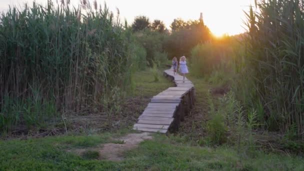 Veselé aktivní dětské přítelkyně běžet a hrát na dřevěném mostě mezi zelenými vysokými rákosí na otevřeném prostranství — Stock video