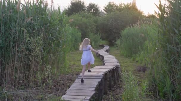 Vrolijk actieve kleine meisje in witte jurk loopt langs houten brug buiten tussen groene hoge riet — Stockvideo