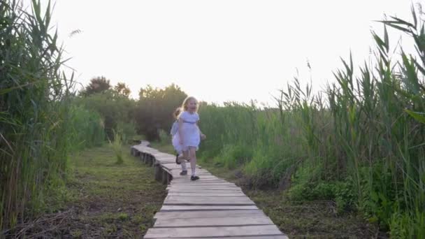 Cheerful little boy with friend girl play catch-up and run on wooden bridge in nature among green grass — Stock Video
