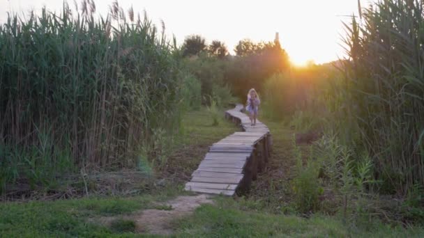 Jeux pour enfants en plein air, joyeuses petites amies actives courent et s'amusent sur un pont en bois parmi les hautes herbes vertes pendant le coucher du soleil — Video